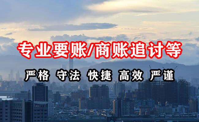 文山清账公司